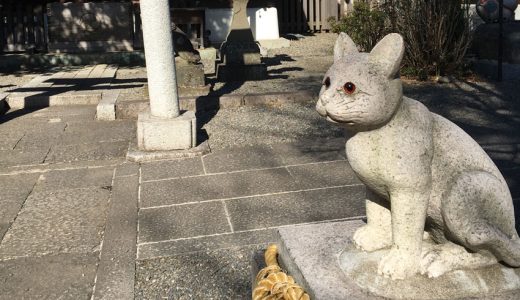 Si eres amante de los gatos deberías visitar este santuario