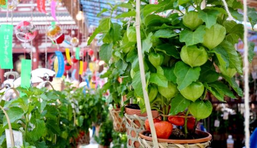 El Festival de los Shiman rokusen nich en el Templo Sensoji